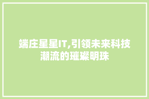 端庄星星IT,引领未来科技潮流的璀璨明珠