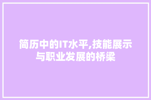 简历中的IT水平,技能展示与职业发展的桥梁