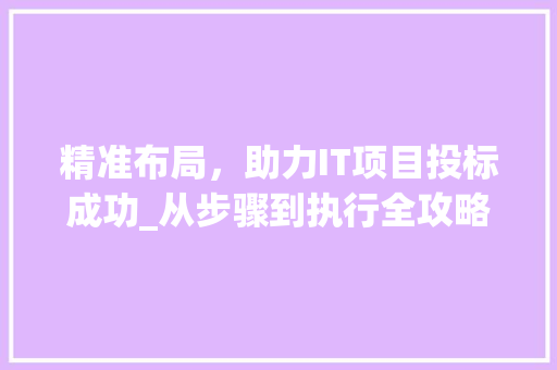 精准布局，助力IT项目投标成功_从步骤到执行全攻略