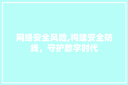 网络安全风险,构建安全防线，守护数字时代