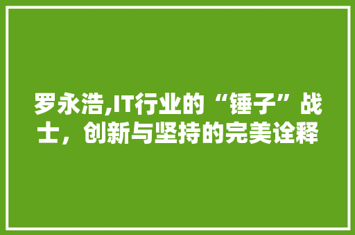 罗永浩,IT行业的“锤子”战士，创新与坚持的完美诠释