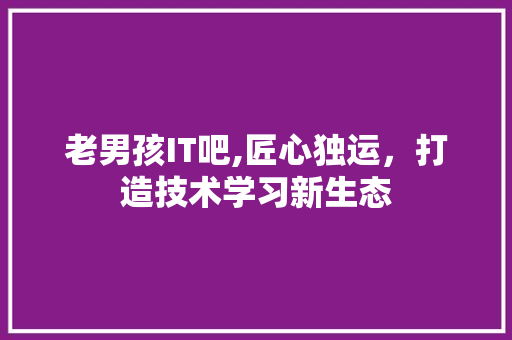 老男孩IT吧,匠心独运，打造技术学习新生态