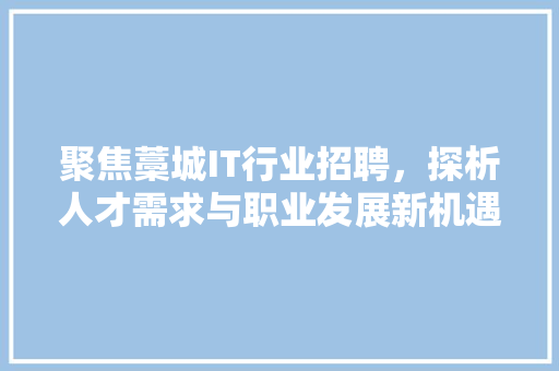 聚焦藁城IT行业招聘，探析人才需求与职业发展新机遇