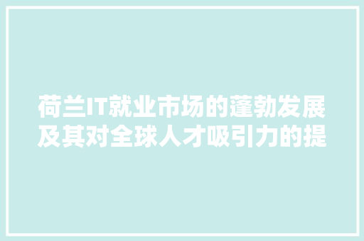 荷兰IT就业市场的蓬勃发展及其对全球人才吸引力的提升