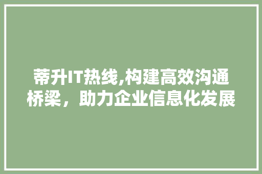 蒂升IT热线,构建高效沟通桥梁，助力企业信息化发展