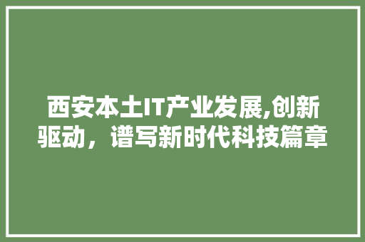 西安本土IT产业发展,创新驱动，谱写新时代科技篇章