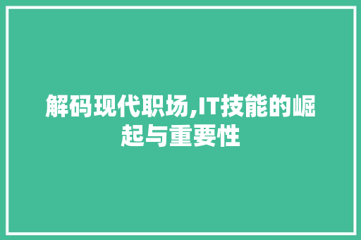 解码现代职场,IT技能的崛起与重要性