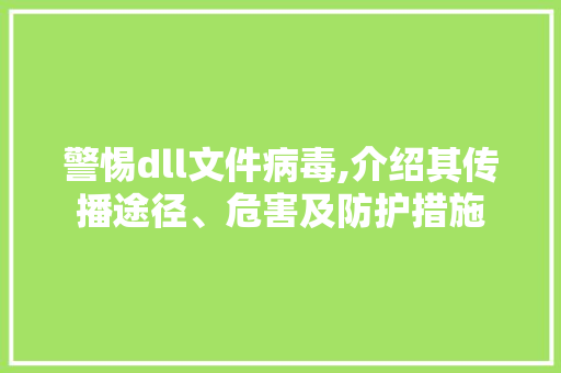 警惕dll文件病毒,介绍其传播途径、危害及防护措施