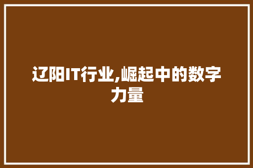 辽阳IT行业,崛起中的数字力量