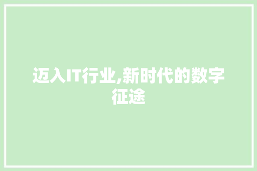 迈入IT行业,新时代的数字征途