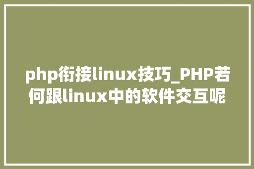 php衔接linux技巧_PHP若何跟linux中的软件交互呢