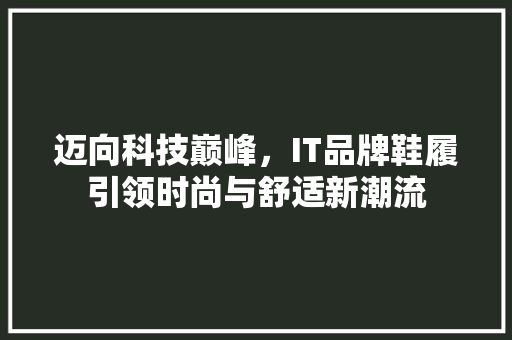 迈向科技巅峰，IT品牌鞋履引领时尚与舒适新潮流