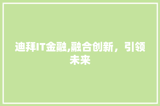 迪拜IT金融,融合创新，引领未来