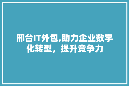 邢台IT外包,助力企业数字化转型，提升竞争力