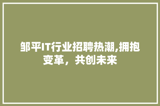邹平IT行业招聘热潮,拥抱变革，共创未来
