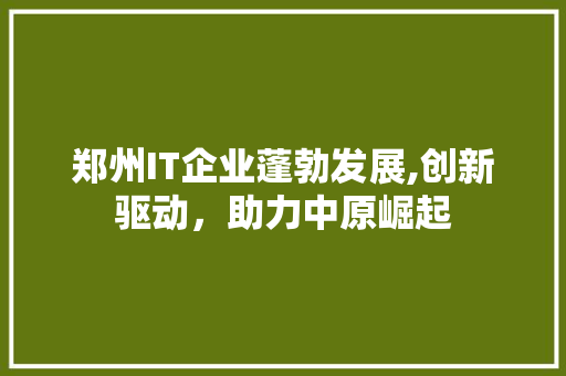 郑州IT企业蓬勃发展,创新驱动，助力中原崛起
