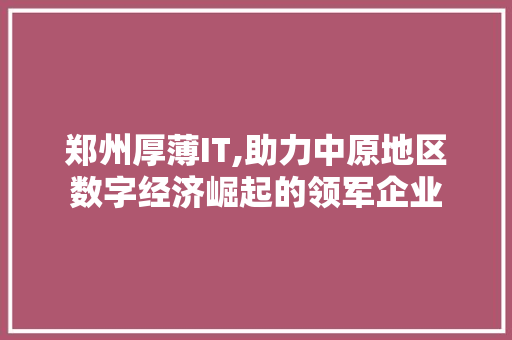 郑州厚薄IT,助力中原地区数字经济崛起的领军企业