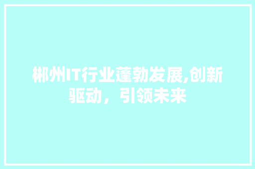 郴州IT行业蓬勃发展,创新驱动，引领未来