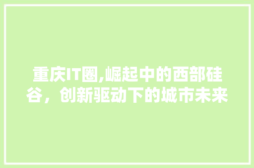 重庆IT圈,崛起中的西部硅谷，创新驱动下的城市未来