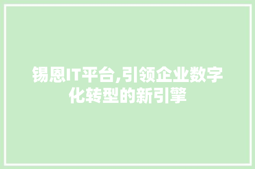 锡恩IT平台,引领企业数字化转型的新引擎