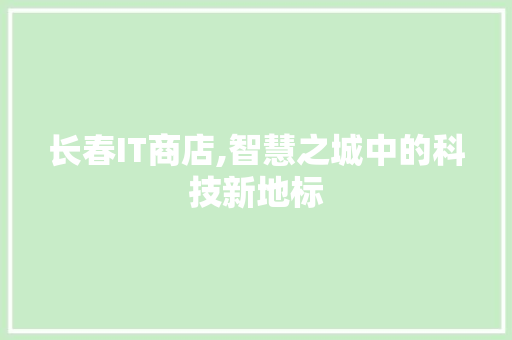 长春IT商店,智慧之城中的科技新地标