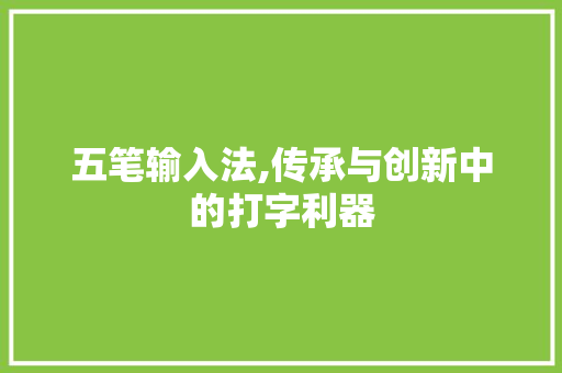 五笔输入法,传承与创新中的打字利器