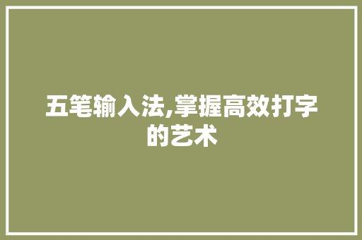 五笔输入法,掌握高效打字的艺术