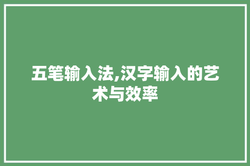 五笔输入法,汉字输入的艺术与效率