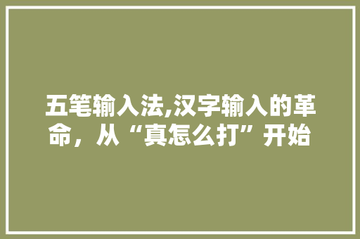 五笔输入法,汉字输入的革命，从“真怎么打”开始