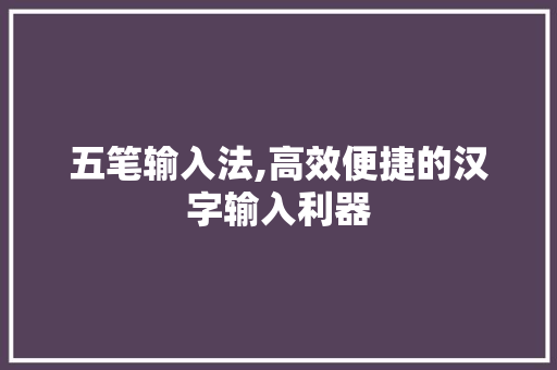 五笔输入法,高效便捷的汉字输入利器