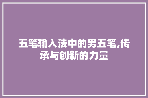 五笔输入法中的男五笔,传承与创新的力量