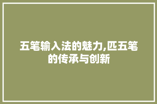 五笔输入法的魅力,匹五笔的传承与创新