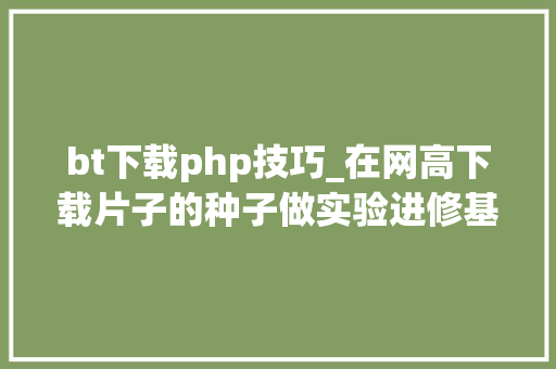 bt下载php技巧_在网高下载片子的种子做实验进修基于P2P的BT下载