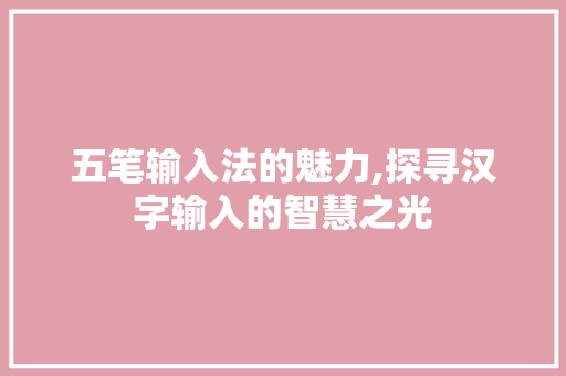 五笔输入法的魅力,探寻汉字输入的智慧之光