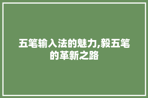 五笔输入法的魅力,毅五笔的革新之路