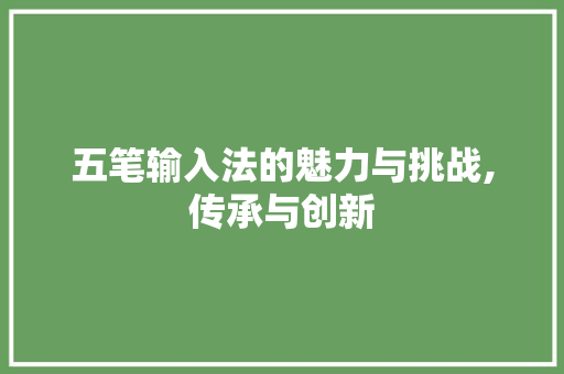 五笔输入法的魅力与挑战,传承与创新