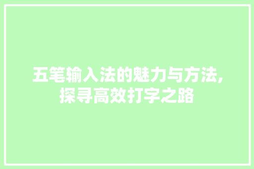 五笔输入法的魅力与方法,探寻高效打字之路