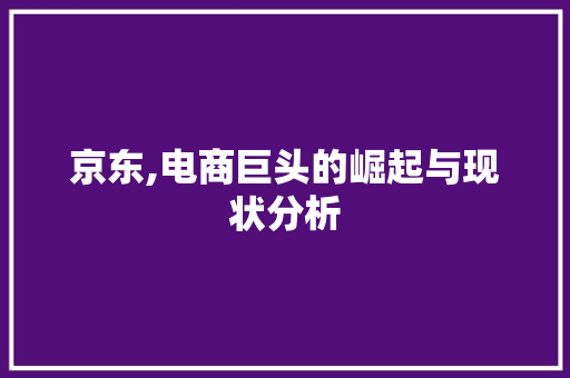 京东,电商巨头的崛起与现状分析