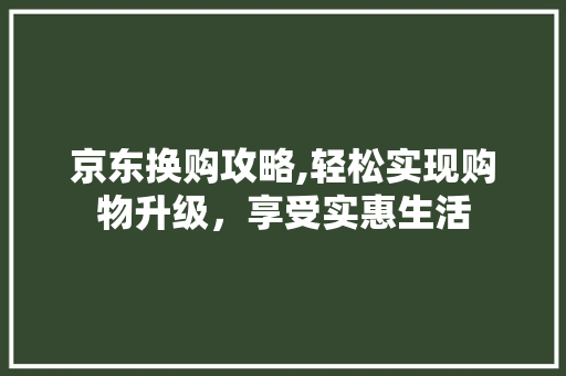 京东换购攻略,轻松实现购物升级，享受实惠生活