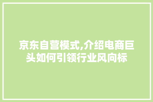 京东自营模式,介绍电商巨头如何引领行业风向标
