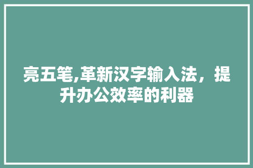 亮五笔,革新汉字输入法，提升办公效率的利器
