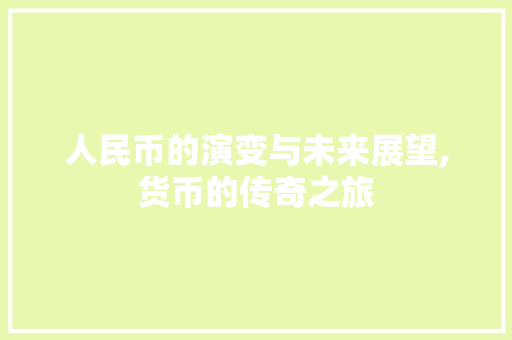 人民币的演变与未来展望,货币的传奇之旅