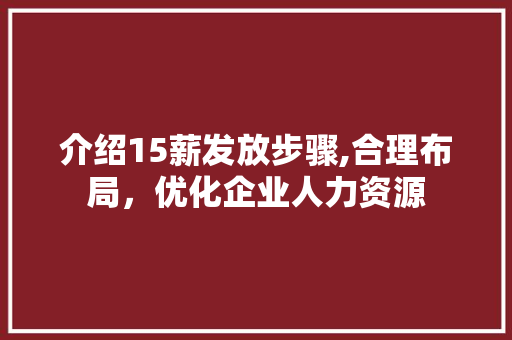 介绍15薪发放步骤,合理布局，优化企业人力资源