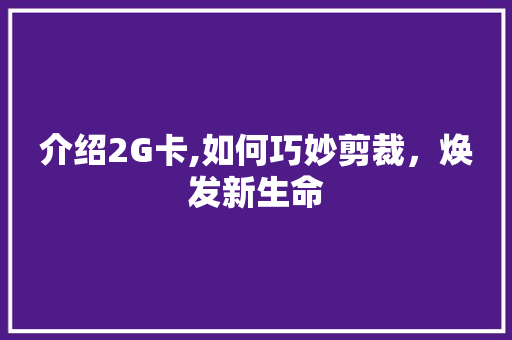 介绍2G卡,如何巧妙剪裁，焕发新生命