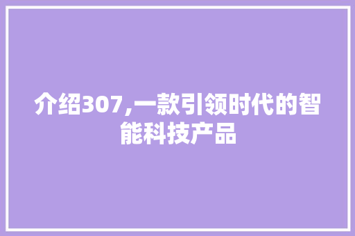 介绍307,一款引领时代的智能科技产品