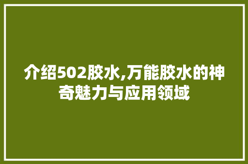 介绍502胶水,万能胶水的神奇魅力与应用领域