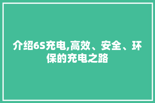 介绍6S充电,高效、安全、环保的充电之路