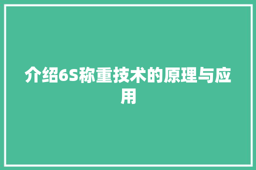 介绍6S称重技术的原理与应用