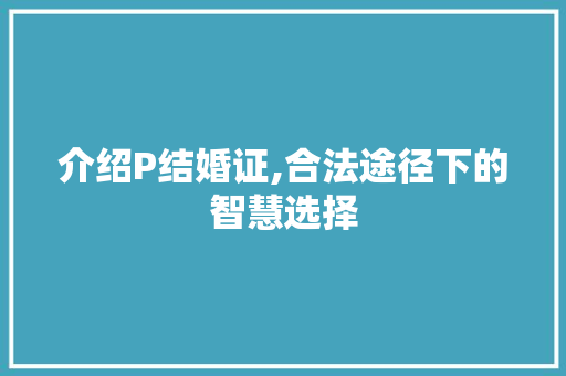 介绍P结婚证,合法途径下的智慧选择