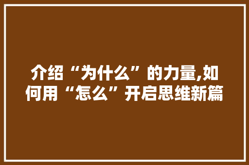 介绍“为什么”的力量,如何用“怎么”开启思维新篇章